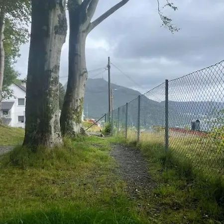Near The Floibanen, Cable Car