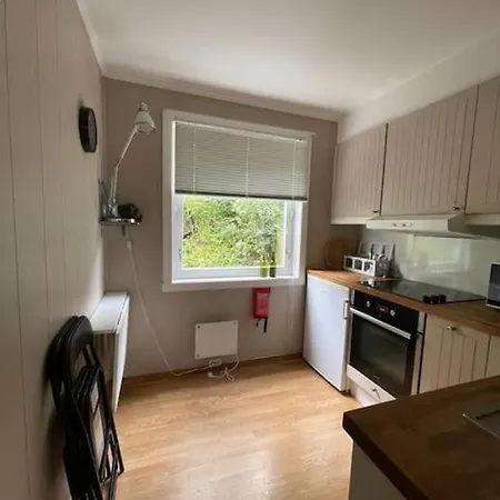 Near The Floibanen, Cable Car Apartment Bergen